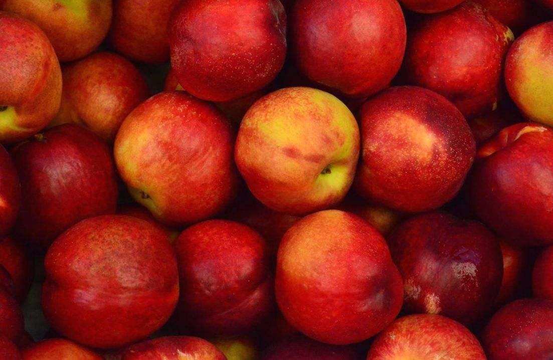 Clafoutis